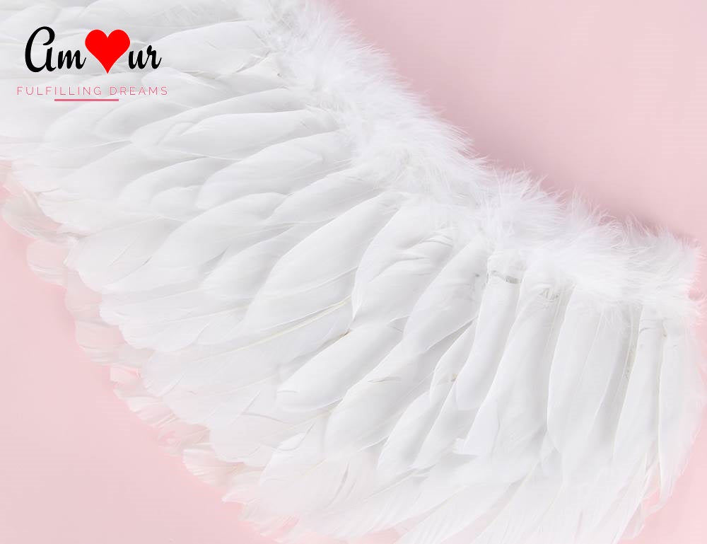 Sexy White Lace Teddy with Feathered Wings