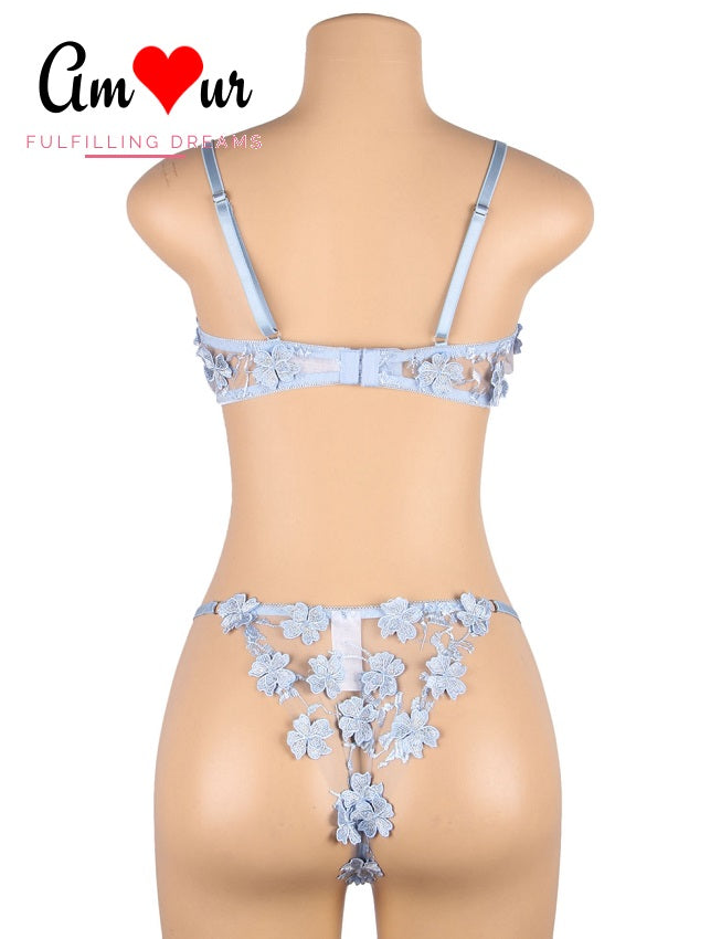 Felicity Floral Embroidered Applique Bra & Panty Lingerie Set