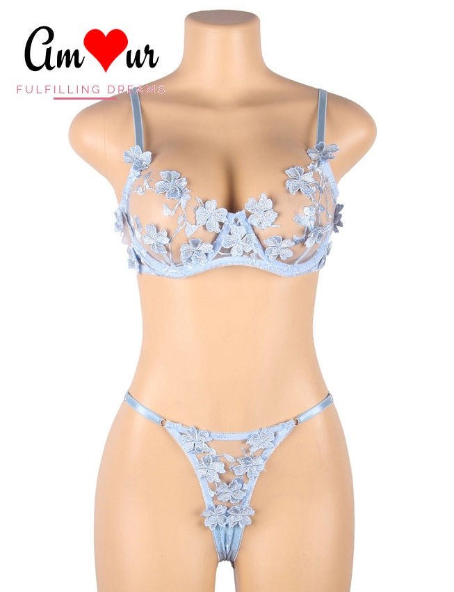 Felicity Floral Embroidered Applique Bra & Panty Lingerie Set