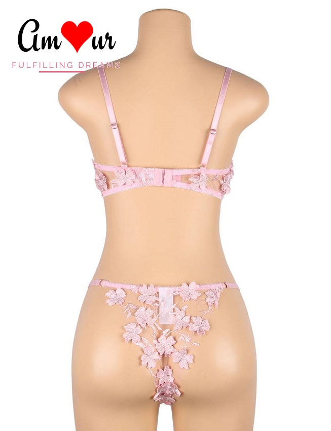 Felicity Floral Embroidered Applique Bra & Panty Lingerie Set