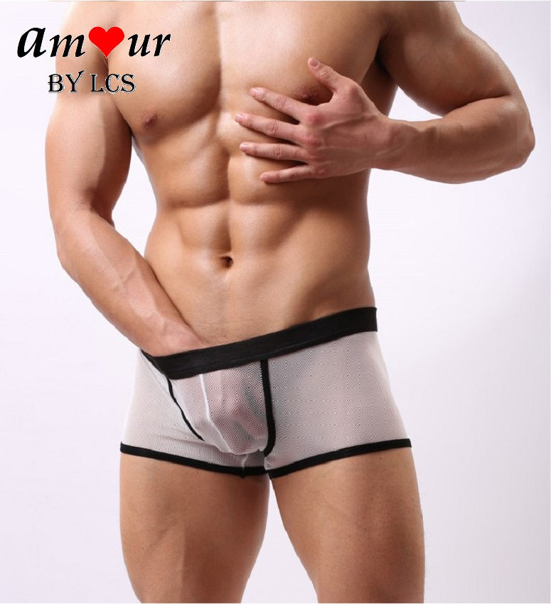 [sexy male boxer lingerie] - AMOUR Lingerie