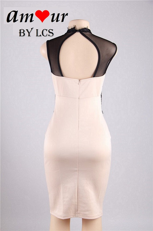 Sleeveless Black & Beige Lace Clubbing Party Pencil Dress